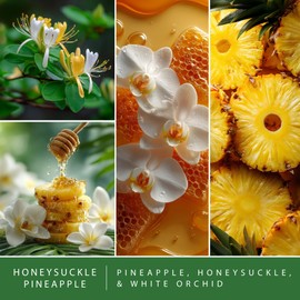 Scentsationals Fragrance Oil Plug In Air Freshener Refills 3-Pack - Honeysuckle Pineapple - Works with Scentsationals Wall Plugs, Long-Lasting Home Fragrance, 0.8 fl oz Each, Packaging May Vary