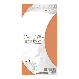 Clairefontaine 33425C Pollen Grain Envelopes 11 x 22 cm Pack of 5 Turquoise