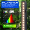 Barrina T5 Plant Grow Lights for Indoor Growing, 2FT 80W