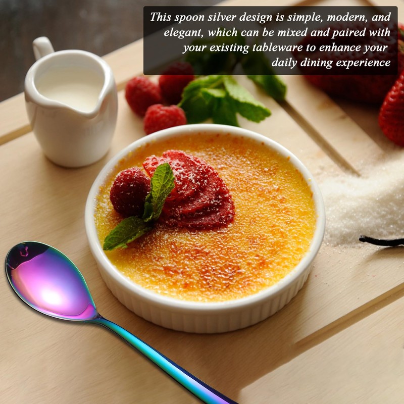 Kyraton Rainbow Soup Spoons, Pack of 12, 20.3 cm Stainless