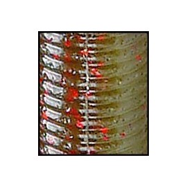 Gary Yamamoto 5" Senko Green Pumpkin with Red Flake 9-10-925