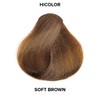 L'OREAL TECHNIQUE HiColor Browns & Blondes Permanent Hair Color -