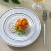SETUP [60 Piece Combo Silver Trim Plastic Plates - Premium