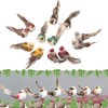 12Pcs Simulation Foam Bird Artificial Bird Decor with Clip Fixing