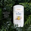 Ivory Aluminum Free Deodorant, Notes of Coconut, 24hr Gentle Deodorant,