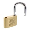BURG WÄCHTER Cylinder Padlock 116 20, Karat 217 50/6 SB