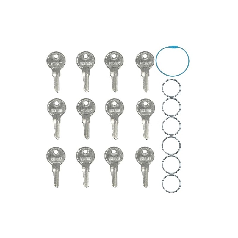 12Pack CH545 Key,CH545 Replacement Keys Compatible with Truck Trailer RV