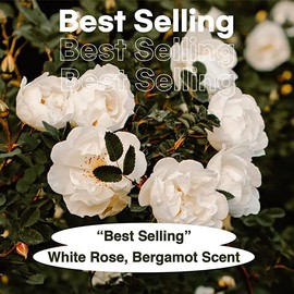 skybottle Refreshing Body Wash, Gentle Exfoliating and Cleansing with AHA, Deep Moisture For Dry Skin Perfumed with White Rose Lilac Scent, Paraben-free, Sulfate-free, 10.1 Fl. Oz