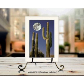 Bob Estrin Handmade Wall Art Decor Photograph of Large Full Moon over Saguaro Cactus in Desert Night Time Landscape