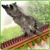 De-bird Cat Bird Repellent Spikes Outdoor Fence Security Plastic Deterrent