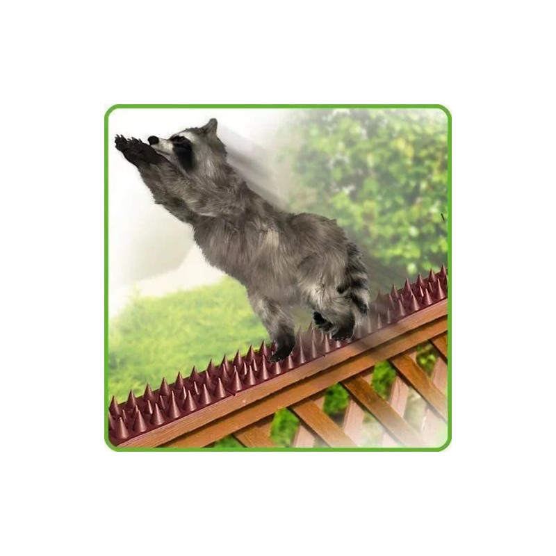 De-bird Cat Bird Repellent Spikes Outdoor Fence Security Plastic Deterrent
