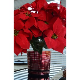 Korad flower pot, plant pot made of high-quality plastic, decorative pot for plants