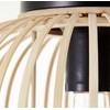 Lightbox Nature Ceiling Light – 23 cm, Diameter 30 cm