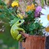 Top Collection Miniature Fairy Garden and Terrarium Frog Flower Pot
