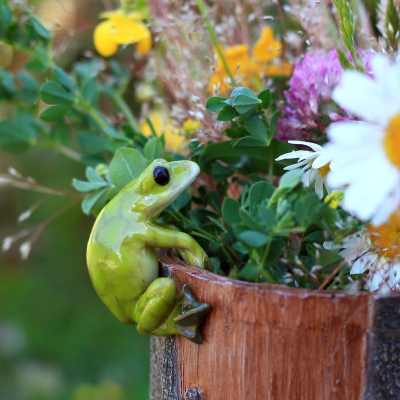 Top Collection Miniature Fairy Garden and Terrarium Frog Flower Pot