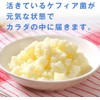 Fine Active Kefir 30-Day Supply, 300 Capsules, 100 Million Kefire,