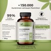 plantrition Magnesium capsules 100 mg elemental Magnesium glycinate per capsule