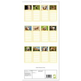 Familienplaner 2026 - Golden Retriever Power mit 5 Spalten (Wandkalender, 21 cm x 45 cm), CALVENDO: Ein besonderer Hundekalender (CALVENDO Tiere)