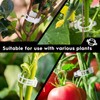 LXYYDS Pack of 200 Plant Clips, Tomato Clips, Reusable Plant
