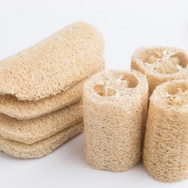 Eco-Friendly Oval Dishwashing & Cleaning Scrubber (5-Pack) Set 2ea