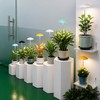Smart LED Grow Light for Indoor Plants, Programmable Timer and