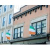 TOPFLAGS Irish Flag 3x5 Outdoor Heavy Duty Ireland Flags for