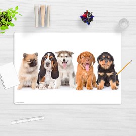 Wipe Clean Desk Mat for Children and Adults - 5 Cute Puppies - 60 x 40 cm - Made in Germany