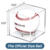 MORDEN MS 2 Pack Baseball Display Case