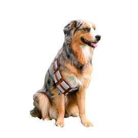 ComfyCamper Peludo Star Warrior - Disfraz de perro con cinturón utilitario, talla S