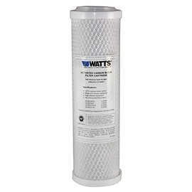 FlowPur/Watts WCBCS-975RV RV Trailer Camper Exterior Canister Single Replacement Filter (6)