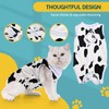 Avont Cat Recovery Suit, Kitten Onesies for After Surgery, Surgical