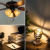 G40 Dimmable Amber LED Bulbs, 3W (25W Eq), E26, 2700K