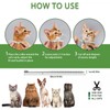 Cat Collar 2 Pack with Essential Oils to Prevent Infections