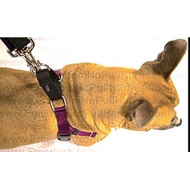 1" Wide 2X-Large (XXLG) Freedom No-Pull Harness ONLY- Direct from Harness Inventor (Burgundy w/Black Loop)