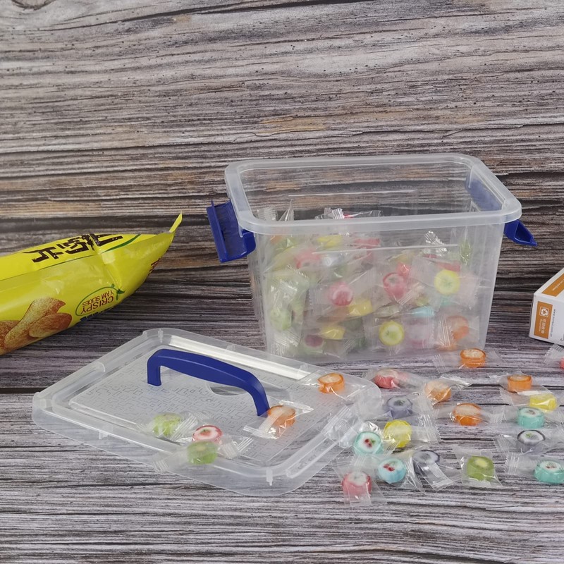 Buyitt 6-Pack 3L Small Storage Containers Boxes, Plastic Storage Box