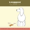 British Roasted 4" Beef Rib Bone x10 for Dogs, 100%