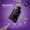 B Life Resveratrol 100 Cápsulas Antioxidante con Pimienta Negra