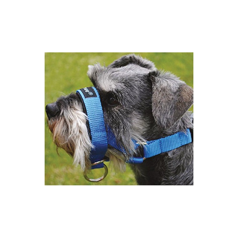Dog Head Collar Halter Blue 5 Sizes (S: 6.5"-8.25" Snout)