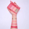 Addictive Blush Palette Rubor Larga Durarion Goc Makeup Tono del