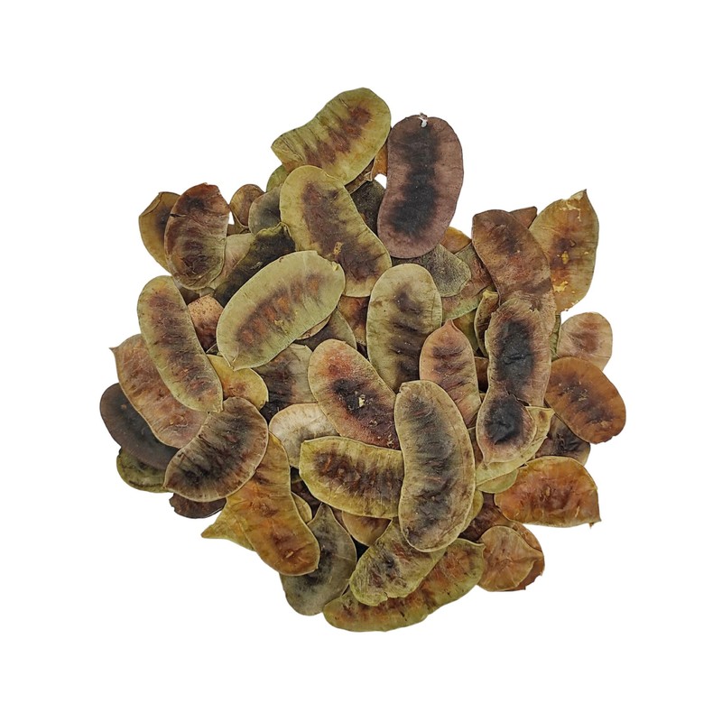 Dried Senna Pods Herbal Tea 85g to 1.95 KG Premium