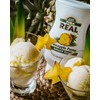 Piña Reàl Infused Exotics, Pineapple Puree Infused Syrup, 16.9 FL