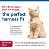 Coastal - Li’l Pals Adjustable Kitten Harness and Leash Combo