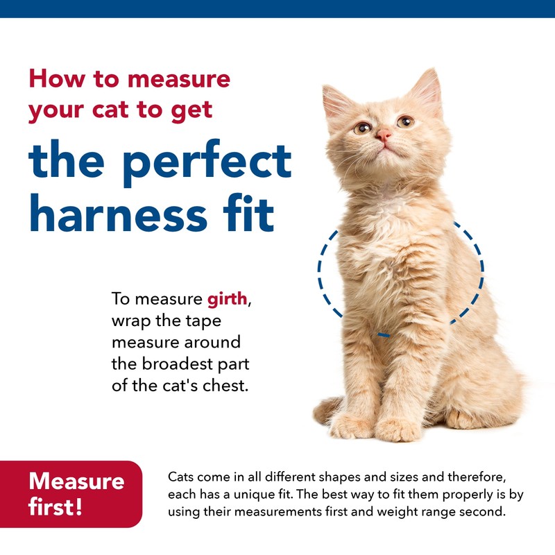 Coastal - Li’l Pals Adjustable Kitten Harness and Leash Combo