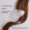 ISDIN Nutradeica Shampoo Anticaspa grasa, Reduce la Descamación, el Picor