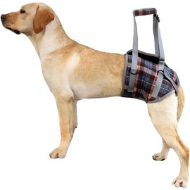 XTrador Entry and Carrier for Dogs Especially for Hip Problems for Injured, Older or Movement Limited Dogs (M)
