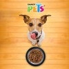 Fancy Pets Plato Ligero de Acero Inoxidable para Perro Tamaño