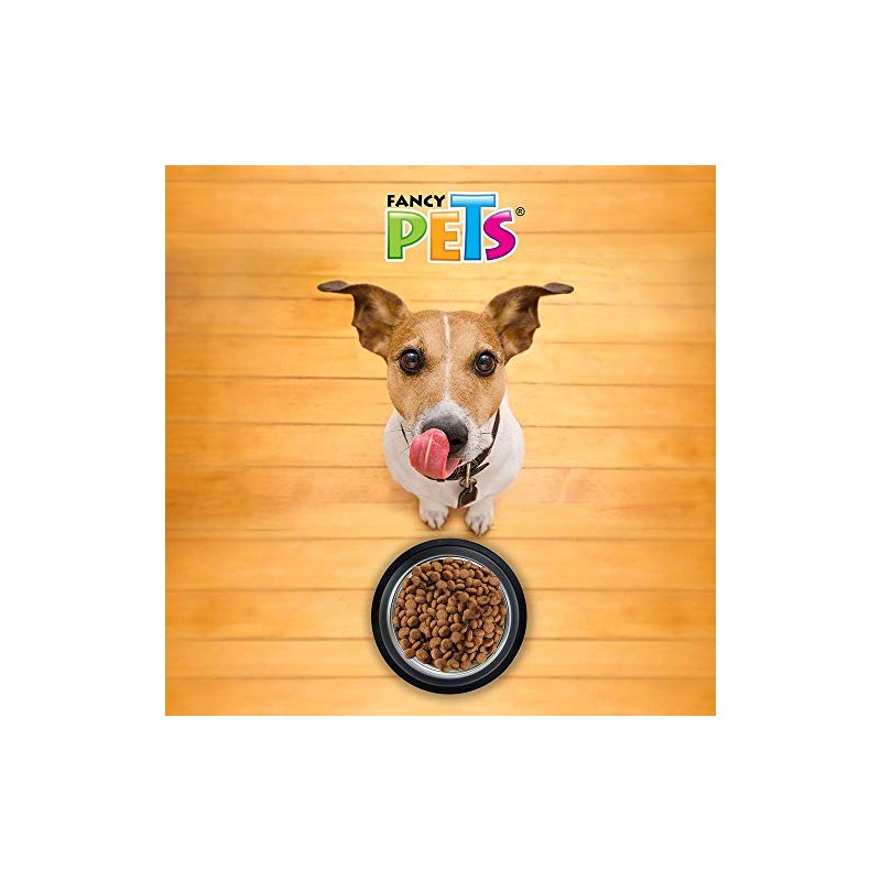 Fancy Pets Plato Ligero de Acero Inoxidable para Perro Tamaño