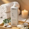 Framesi Morphosis Re-Structure Acondicionador Profesional Para Cabello Seco y Dañado