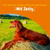 Zesty Paws Zesty Paws Beruhigende Chews f??r Hunde Entspannungs- &