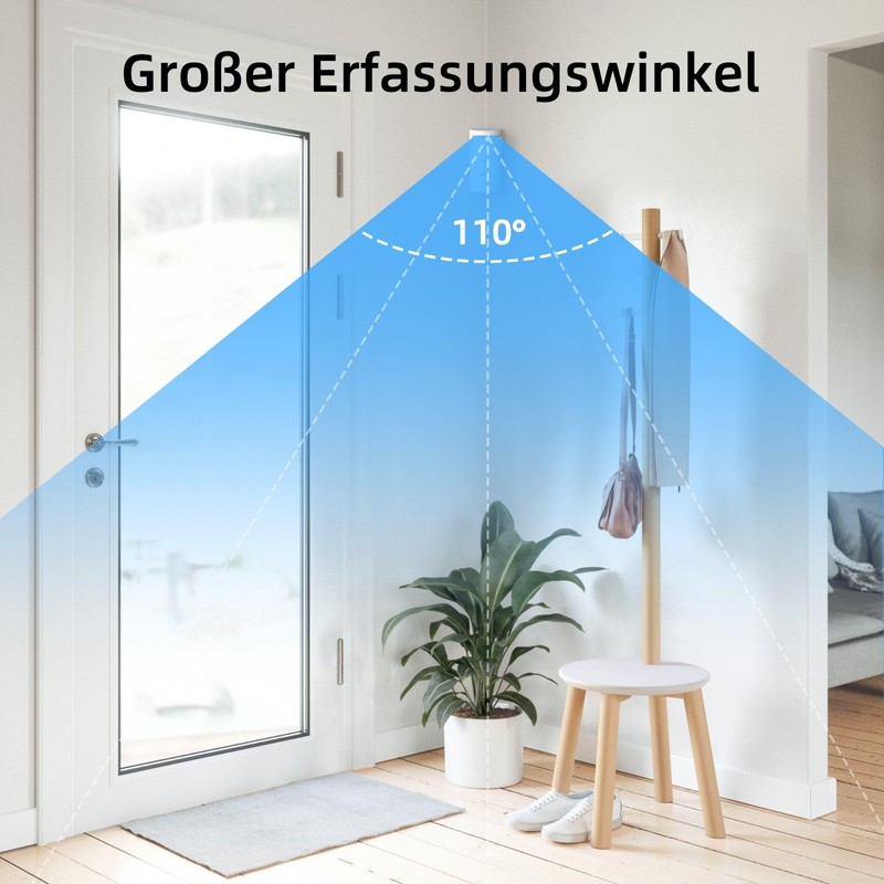 Home Alarm System P30